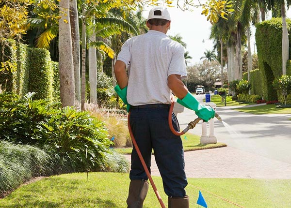 About Jeffersonville IN Pest Control